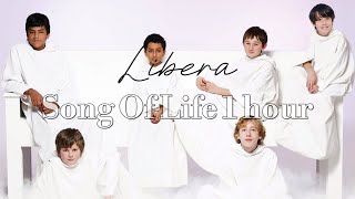 Libera Song Of Life 1 hour [upl. by Nylhtak934]