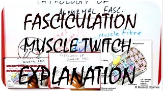 Muscle Twitch  Fasciculation Pathophysiology EXPLAINED [upl. by Adekahs]