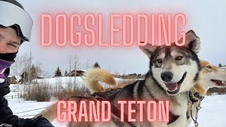 DOGSLEDDING IN THE TETONS AT HEART SIX RANCH IN MORAN WYOMING [upl. by Kurzawa455]