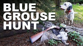 Hunting Blue Grouse with 16 Gauge Over Under Franchi [upl. by Schroer165]