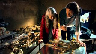 Pompeii  Life and Death in a Roman Town  Mary Beard [upl. by Adore]