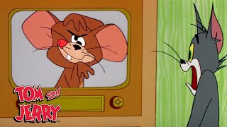 Tom amp Jerry  Best of Jerrys Tricks  GenerationWB [upl. by Eterg]