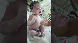 Normal Delivered baby 🥰💝🫣 youtubeshorts newbornbaby babyborn shorts [upl. by Nylekoorb864]