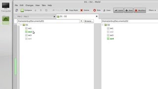 Meld  To Compare Two Files And Directories In Linux Mint [upl. by Bud]