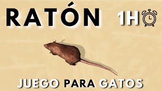 JUEGO de RATÓN para GATOS 😸【1 HORA⏰】 [upl. by Nauqram305]