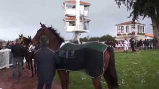 Machecoul Courses hippiques Mars 2014 [upl. by Fabiola]