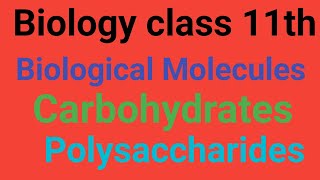 Polysaccharides Lecture 3 GlycogenStarch Cellulose Chitin and Iodine Test for polysaccharides [upl. by Aicen]