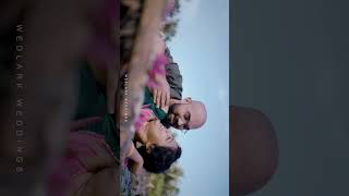 WEDLARK WEDDINGSweddingbride kannur keralawedding butifullgirl weddinghair bride [upl. by Hcnarb]