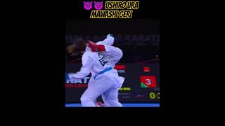 Amazing Ushiro Ura Mawashi Geri by Li Gong CHN Karate Female Kumite shorts karate martialarts [upl. by Nomelihp713]