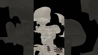 3D model of the skull See the 22 bones that make up the skull shorts shortvideo skull [upl. by Gnauq]