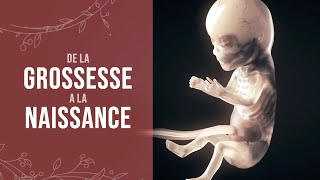 De la grossesse à la naissance dun miracle [upl. by Gelhar]