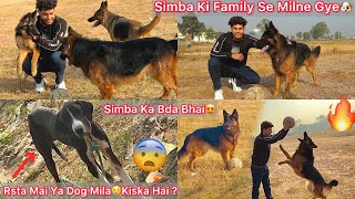 Simba Ki Family Ko Dekhne Gye🐶Simba Ka Bda Bhai😍Etna Gaint Dog😯Rasta Mai Ghumta Mila🐶Kiska Hai [upl. by Fara901]