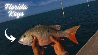 Florida Keys Bridge Fishing [upl. by Nesyt]