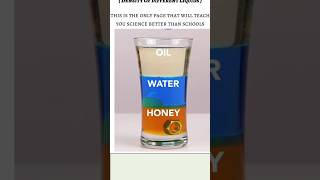 Density of three different liquid experiment sciencefacts ytshorts facts shortsfeedshorts [upl. by Ahsei37]