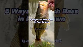 5 Ways to Catch Bass in Post Spawn 🔥 fishing [upl. by Krahling]