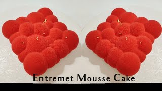 Entremet Mousse Cake [upl. by Hewitt155]