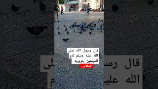 اسمع ماذا قال الرسول محمد صلى الله عليه وسلم ؟ صلواعلىالنبي لايك اللهاكبر shortvideo دعاء [upl. by Alleuqahs]