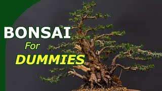 Starting with bonsai made easy An overview to start growing bonsai [upl. by Way73]