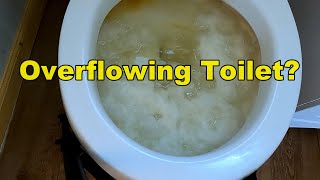 Most people DONT Know How to Unclog Toilet Easy fast DIY [upl. by Nina597]