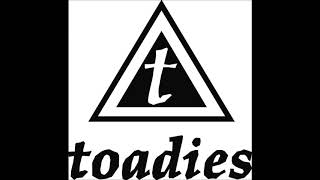 Toadies  Live  The Roxy Theatre West Hollywood CA USA 02101995 [upl. by Ledah233]