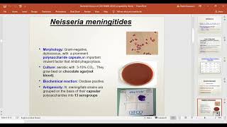 Bacterial CNS infections Microbiology 2024 [upl. by Bekki520]