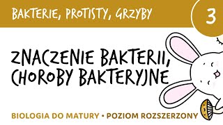 Bakterie protisty grzyby 3  Znaczenie bakterii choroby bakteryjne maturalne [upl. by Netsrak737]