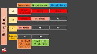 Vasopressor and Inotropes  Made Easy [upl. by Haidabo]