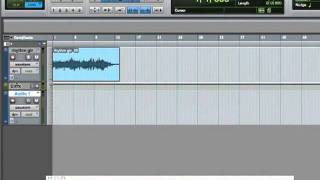 Pro Tools 9 Tutorial  Half Speed Record [upl. by Nahgiem]