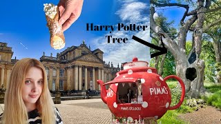 Blenheim Palace VLOG  The Cotswolds [upl. by Osei434]