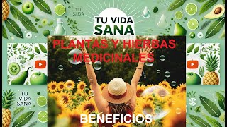 Propiedades de las Plantas y Hierbas Medicinales [upl. by Maude454]