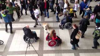 Flashmob Westbahnhof Vienna Austria [upl. by Anilatac15]