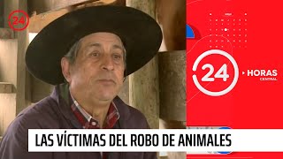 Reportajes de Aderberaz Animales peligrosos en las cajas de cereal  Derbez en ViX [upl. by Atteuqaj300]