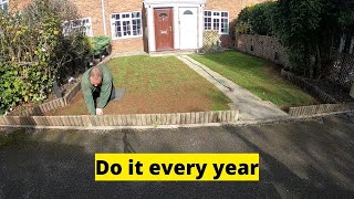 I Renovate This Lawn Every Year  Nice amp Easy To Do [upl. by Ahseital]