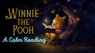 🧸 Reading of WinniethePooh  Full Audiobook for Sleep 😴 [upl. by Leahcimaj]