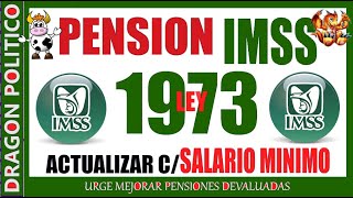 1119🔥PENSIÒN IMSS LEY 1973  ❤️👴❤️✅ pension noticias ayudasocial pagos [upl. by Marilin]