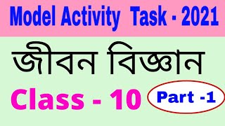 Model activity task class 10 life science part 1 [upl. by Gainer]