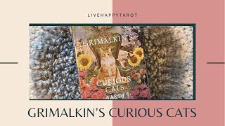 Grimalkin’s Curious Cats Tarot Review [upl. by Memberg]