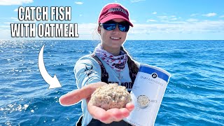 How to Catch Yellowtail Snapper  Fishing with Oatmeal [upl. by Ennaitak766]