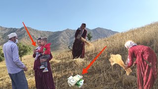 Pregnant mother and orphan son tiredness and effort of pregnant mother in wheat field to earn money [upl. by Yenruoc]