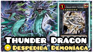 THUNDER DRAGON DECK 2024 YUGIOH DUEL LINKS [upl. by Hanikas]