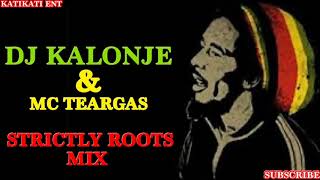 DJ KALONJE amp MC TEARGAS  BEST OF ROOTS REGGAE MIX 2020 [upl. by Nospmoht]