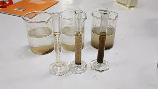 measurement of turbidity using measuring cylinder12th bio practicalpractical no 20 biologylab [upl. by Peery268]