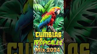 TROPICALES MIX PARA BAILAR🎷MIX CUMBIAS TROPICALES🌵TROPICAL DEL BRAVOACAPULCO TROPICALFITO OLIVARES [upl. by Osnerol]