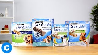 Dentalife Dog Treats  Chewy [upl. by Eirrej]