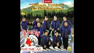 Banda Toreros Musical  La Pachanga [upl. by Hudgens]