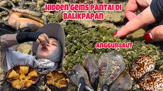 BARU TAU DI BALIKPAPAN ADA PANTAI BEGINI‼️Ketemu Semua Biota Laut Yang Diimpikan [upl. by Dayir]