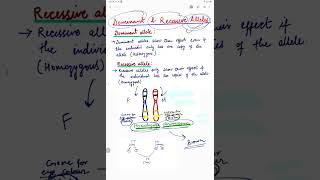 Dominant and Recessive Allele  shorts viralshorts alleles [upl. by Zubkoff843]