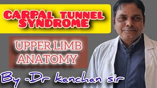 CARPAL TUNNEL SYNDROME MEDIAN NERVE COMPRESSION  APPLIED ANATOMY OF FLEXOR RETINACULUM [upl. by Naelopan525]