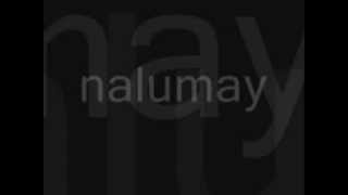 Nalumay  Circle of Willis Lyrics [upl. by Anoek]