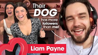 Liam Payne cant believe the DAmelios dog has more followers than him [upl. by Metzgar]